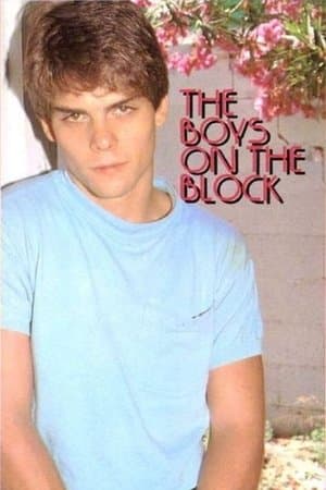 The Boys on the Block streaming