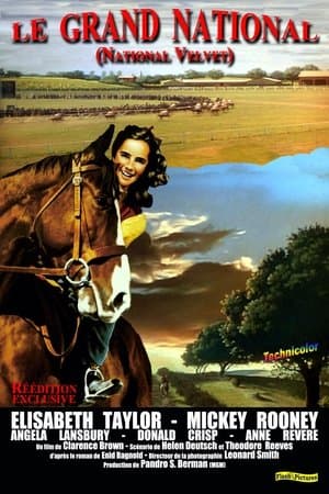 Le Grand National streaming