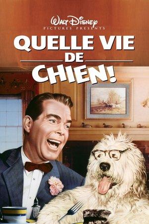 Quelle vie de chien ! streaming