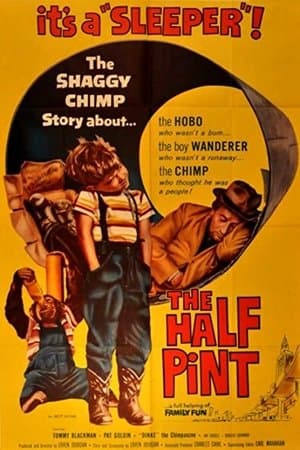 The Half Pint streaming