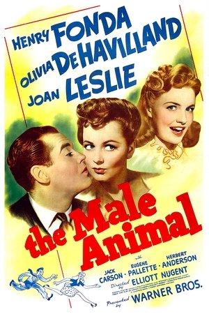 The Male Animal streaming
