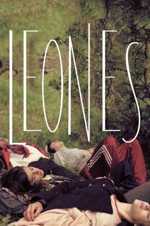 Leones streaming