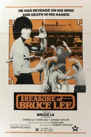 Treasure of Bruce Le streaming