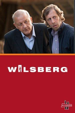 Wilsberg streaming