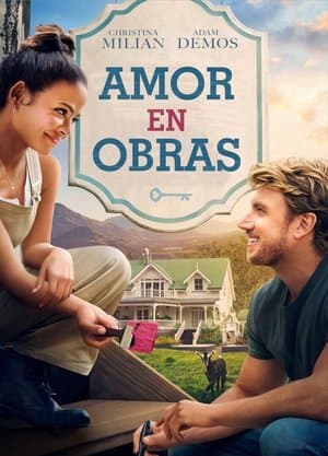 Amor en obras streaming