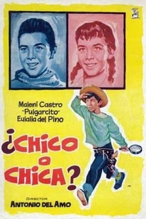 ¿Chico o chica? streaming