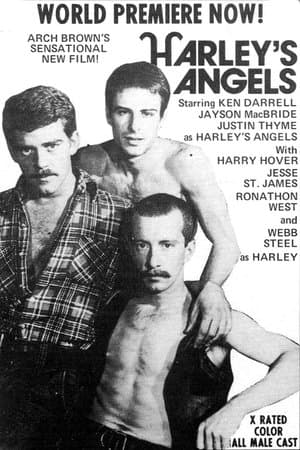 Harley's Angels streaming