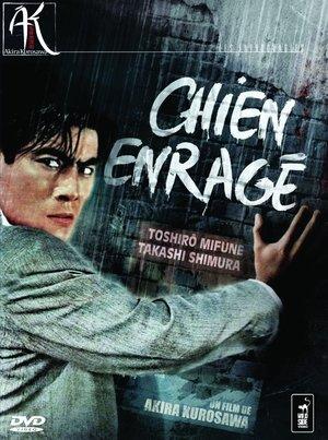 Chien enragé streaming