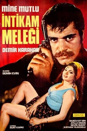 İntikam Meleği streaming