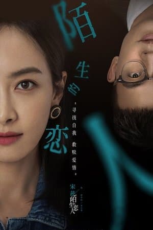 陌生的恋人 streaming