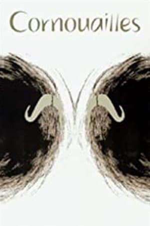 Cornouailles streaming