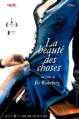 La Beauté des choses streaming