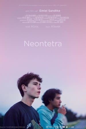 Neontetra streaming