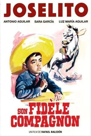 Son fidèle compagnon streaming