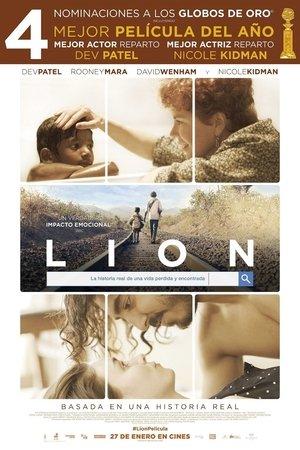 Lion streaming