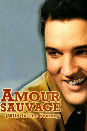 Amour sauvage streaming