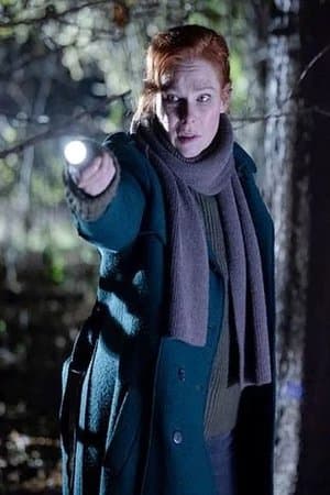 Charlotte Link - Einsame Nacht streaming