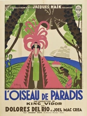 L'oiseau de paradis streaming