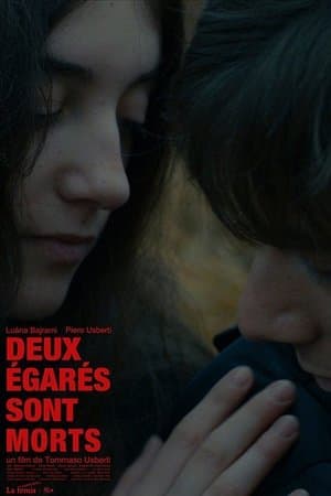 Deux égarés sont morts streaming