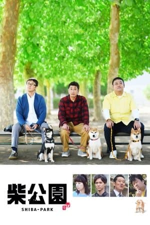 柴公園 streaming