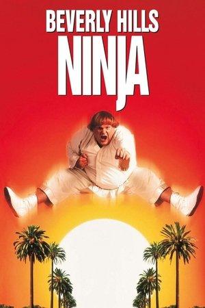 Beverly Hills Ninja streaming