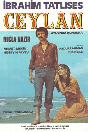 Ceylan streaming