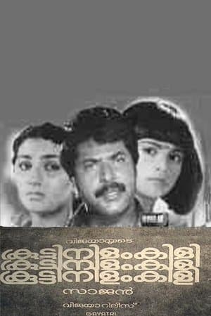 കൂട്ടിനിളംകിളി streaming
