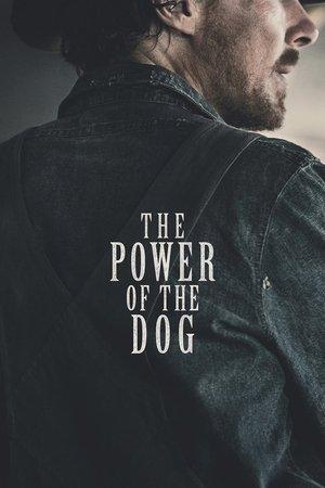 The Power of the Dog streaming