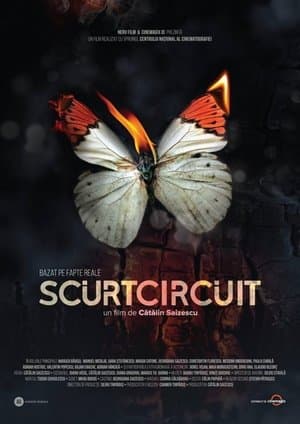 Scurtcircuit streaming