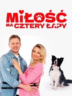 Miłość ma cztery łapy streaming