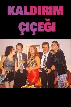 Kaldırım Çiçeği streaming