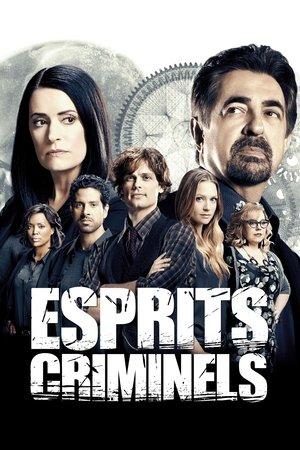 Esprits criminels streaming