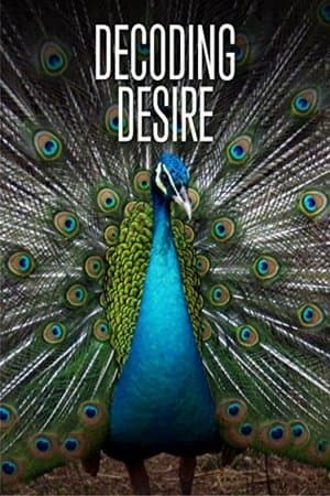 Decoding Desire streaming