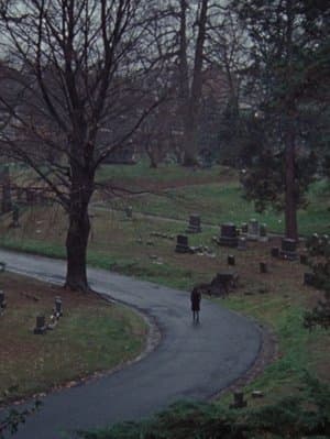 The Funeral streaming