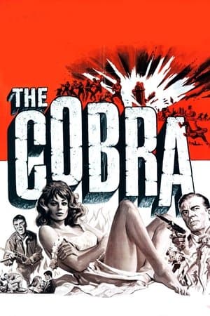 Il cobra streaming