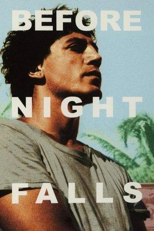 Before Night Falls streaming