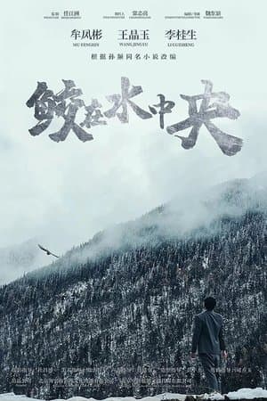 鲛在水中央 streaming