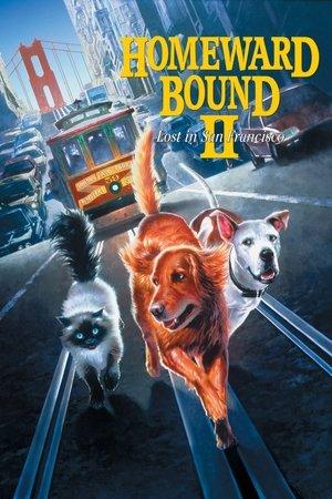 Homeward Bound II: Lost in San Francisco streaming