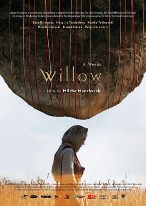 Willow streaming