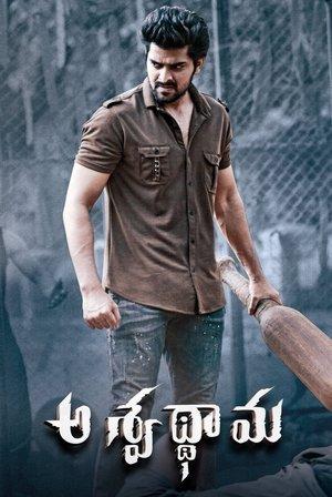 అశ్వథామ streaming