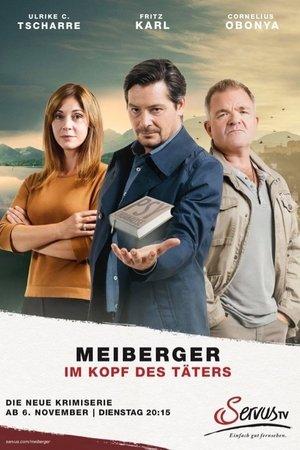 Meiberger - Im Kopf des Täters streaming