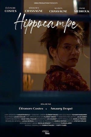 Hippocampe streaming