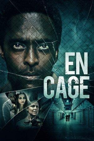 En cage streaming