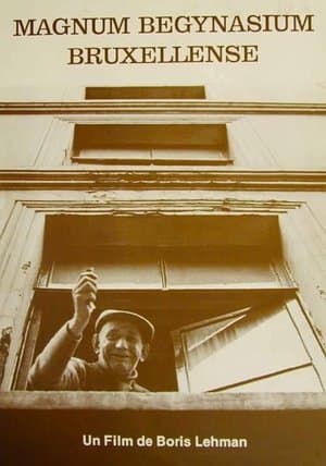 Magnum Begynasium Bruxellense streaming