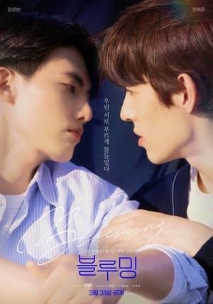 블루밍 streaming