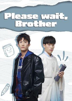 Please Wait, Brother streaming