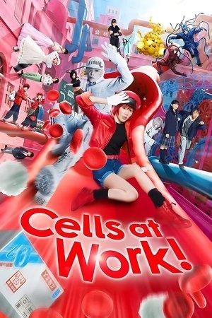 Cells at Work! streaming