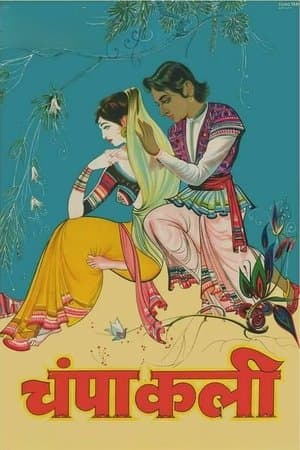 चम्पाकली streaming
