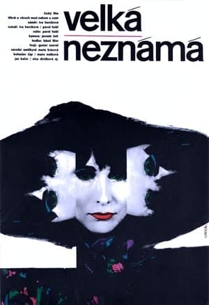 Velká neznámá streaming
