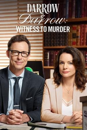 Darrow & Darrow: Witness to Murder streaming